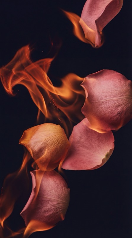 Caliente game mode artwork